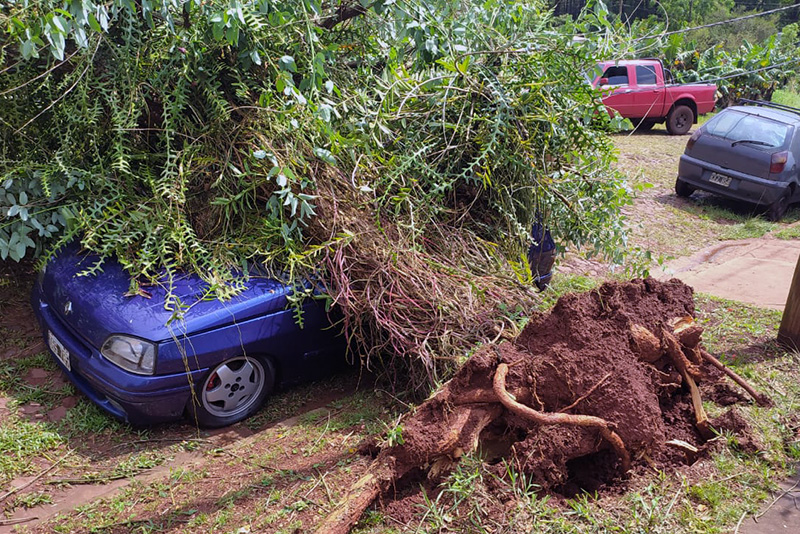 En Misiones un temporal dejó más de 100 casas afectadas en Montecarlo En Misiones un temporal dejó más de 100 casas afectadas en Montecarlo