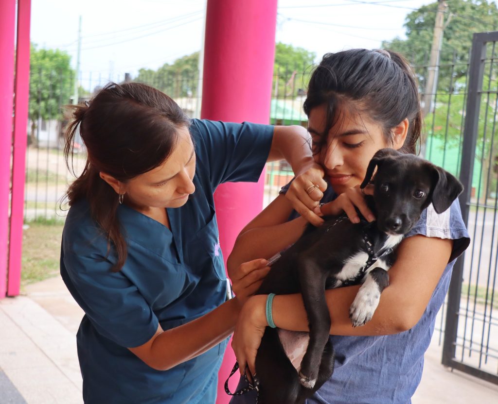 El municipio comenzó con operativos de vacunación para mascotas en los barrios El municipio comenzó con operativos de vacunación para mascotas en los barrios