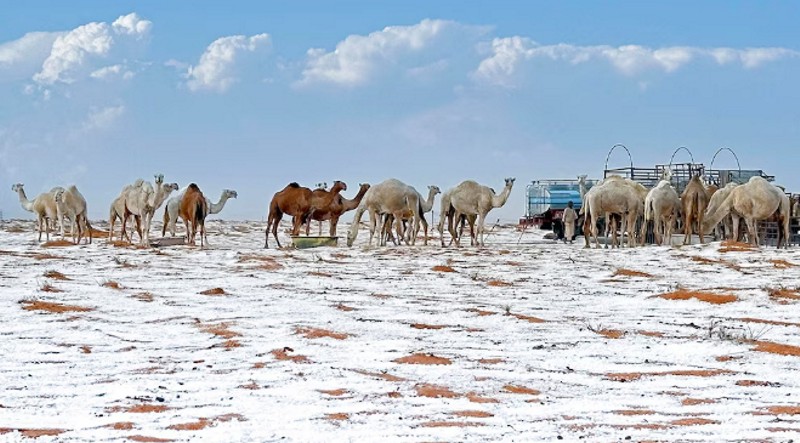 Cambio climático: el desierto de Arabia Saudita se cubrió de nieve por primera vez en su historia Cambio climático: el desierto de Arabia Saudita se cubrió de nieve por primera vez en su historia