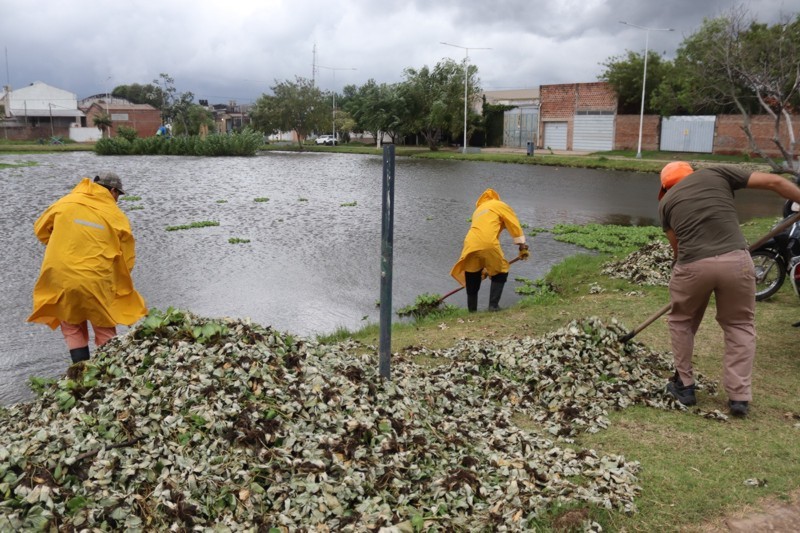 Lluvia en Resistencia: el municipio se mantiene en alerta e informó que solo se atendieron demandas puntuales Lluvia en Resistencia: el municipio se mantiene en alerta e informó que solo se atendieron demandas puntuales