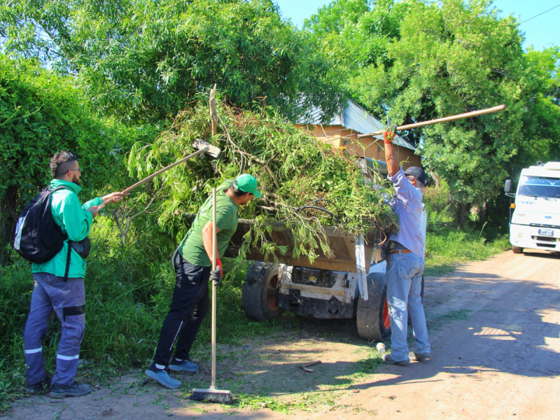 El Municipio realiza operativos de descacharrado y recuerda la importancia de prevenir la propagación del dengue El Municipio realiza operativos de descacharrado y recuerda la importancia de prevenir la propagación del dengue