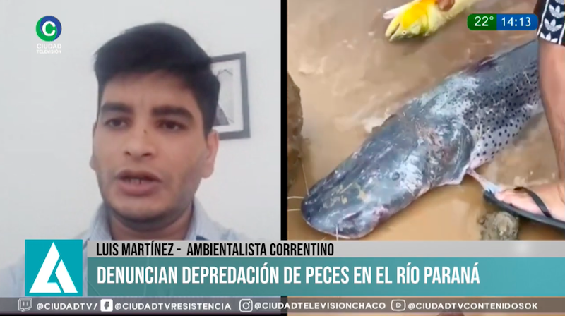 Depredación de peces en el río Paraná: “Es necesario arbitrar medidas de preservación” Depredación de peces en el río Paraná: “Es necesario arbitrar medidas de preservación”