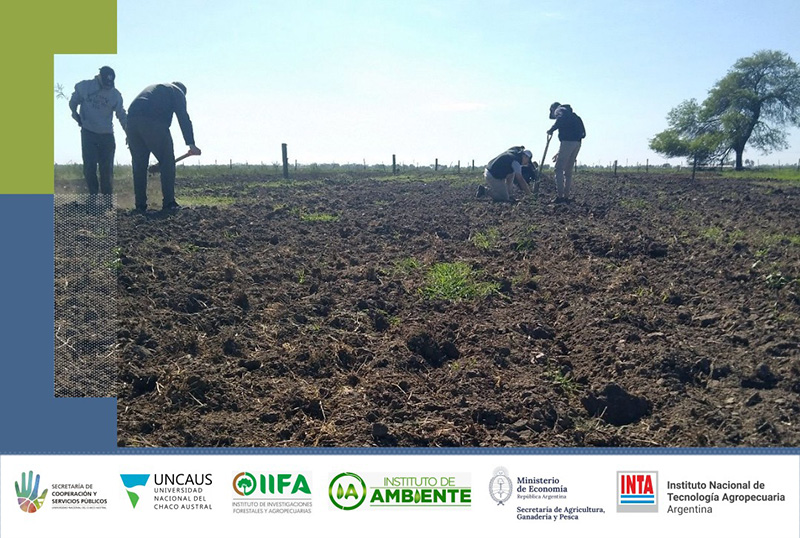 La UNCAus invita a una Jornada a campo de forestación con algarrobo La UNCAus invita a una Jornada a campo de forestación con algarrobo
