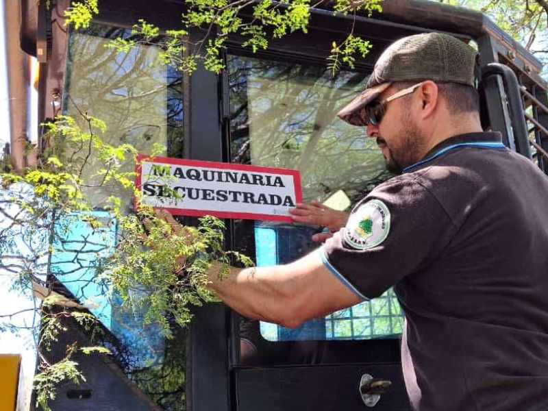 La Dirección de Bosques continúa trabajando en la prevención de desmontes La Dirección de Bosques continúa trabajando en la prevención de desmontes