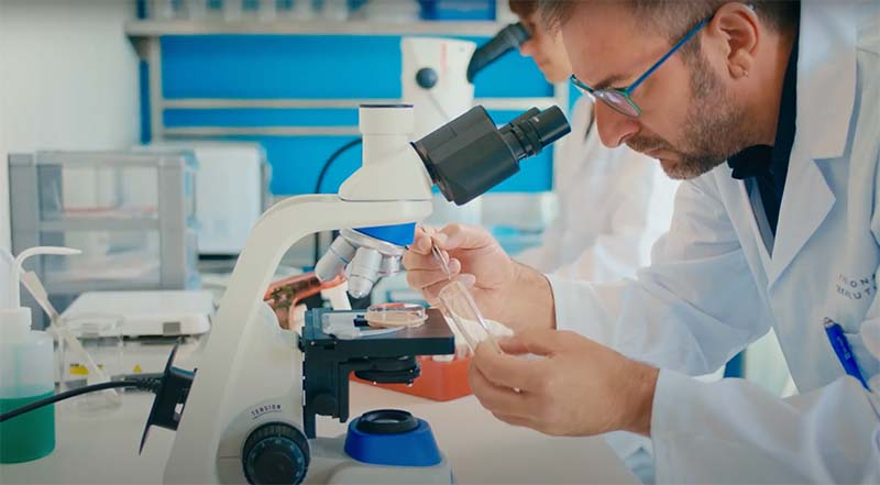 Moscas de la fruta: el modelo innovador para personalizar los tratamientos contra el cáncer Moscas de la fruta: el modelo innovador para personalizar los tratamientos contra el cáncer