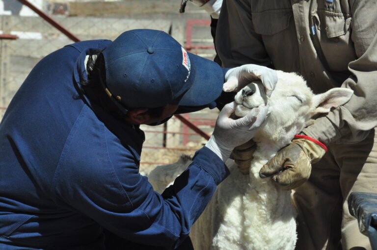 Mientras acá piensan achicar el INTA, en Brasil festejan el rol de los extensionistas rurales y les dan recursos Mientras acá piensan achicar el INTA, en Brasil festejan el rol de los extensionistas rurales y les dan recursos