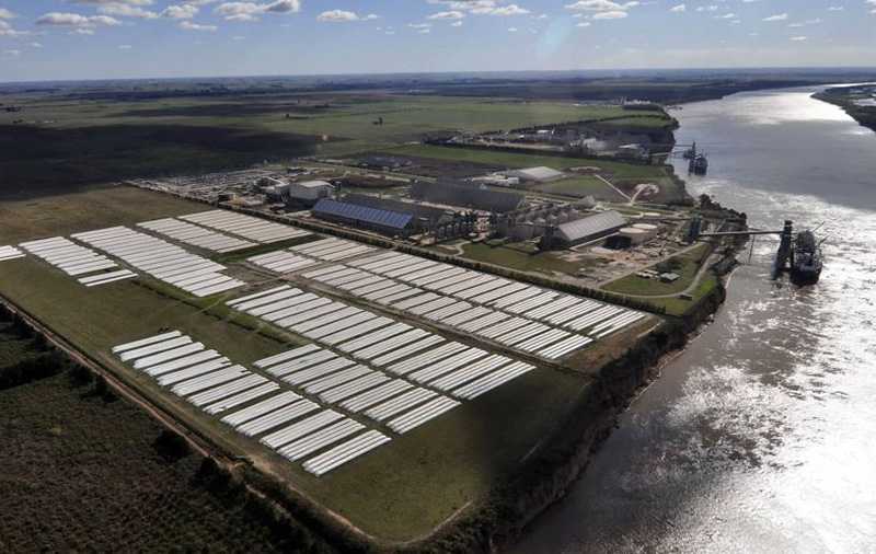 Claroscuros en la soja: crece fuerte en exportaciones, pero con precios que no paran de caer Claroscuros en la soja: crece fuerte en exportaciones, pero con precios que no paran de caer