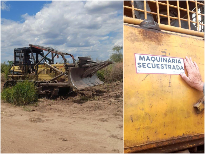 Detienen desmonte ilegal cerca de Castelli y secuestran dos topadoras Detienen desmonte ilegal cerca de Castelli y secuestran dos topadoras
