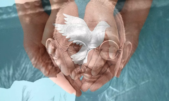 30 de enero: Día Escolar de la No Violencia y la Paz 30 de enero: Día Escolar de la No Violencia y la Paz