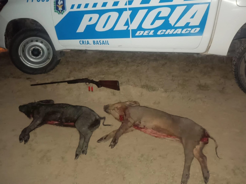 Dos detenidos por caza ilegal en la zona rural de Basail Dos detenidos por caza ilegal en la zona rural de Basail