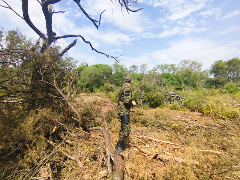 Agentes rurales frenaron un desmonte ilegal en el Departamento Chacabuco Agentes rurales frenaron un desmonte ilegal en el Departamento Chacabuco