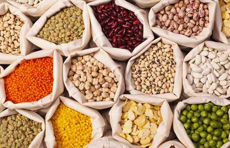 Las legumbres celebran su Día: una cadena que ingresa U$S 500 millones por año al país Las legumbres celebran su Día: una cadena que ingresa U$S 500 millones por año al país