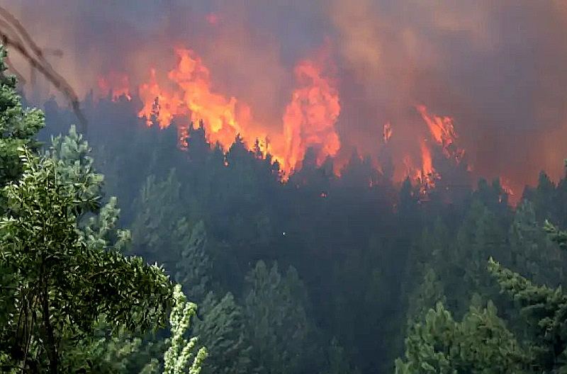 El Bolsón desespera al ver el fuego en sus ventanas: “Estamos en un caos total” El Bolsón desespera al ver el fuego en sus ventanas: “Estamos en un caos total”
