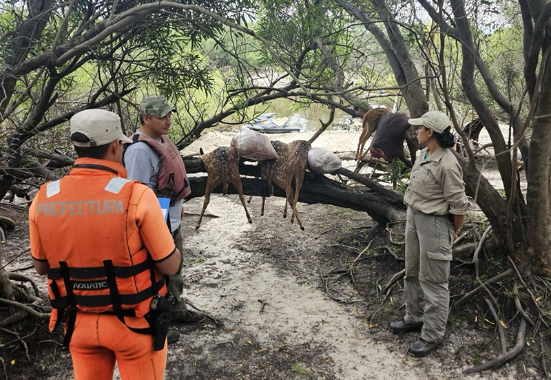 Entre Ríos: operativo de control de caza furtiva en el Parque Nacional El Palmar Entre Ríos: operativo de control de caza furtiva en el Parque Nacional El Palmar