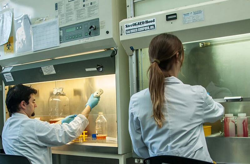 En el mundo de los laboratorios, el INTA hace carrera y obtiene un importante reconocimiento En el mundo de los laboratorios, el INTA hace carrera y obtiene un importante reconocimiento