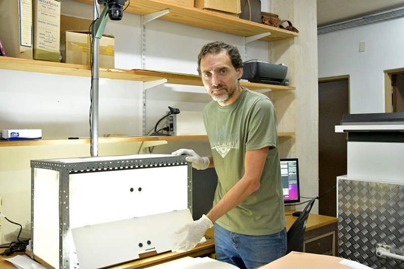 El Herbario Virtual del IBONE superó las 150 mil muestras de plantas vasculares digitalizadas El Herbario Virtual del IBONE superó las 150 mil muestras de plantas vasculares digitalizadas