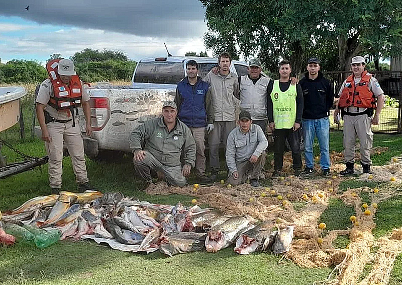 Secuestran unos 600 kilos de pescado en un operativo en Corrientes, Entre Ríos y Santa Fe Secuestran unos 600 kilos de pescado en un operativo en Corrientes, Entre Ríos y Santa Fe