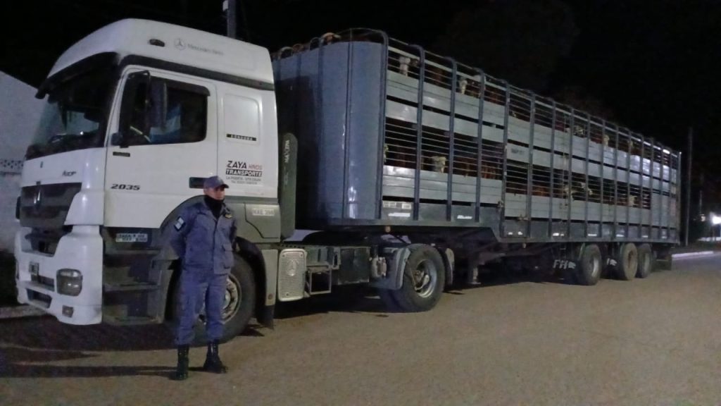 En un control vehicular, detectaron que un camión tenía pedido de secuestro En un control vehicular, detectaron que un camión tenía pedido de secuestro