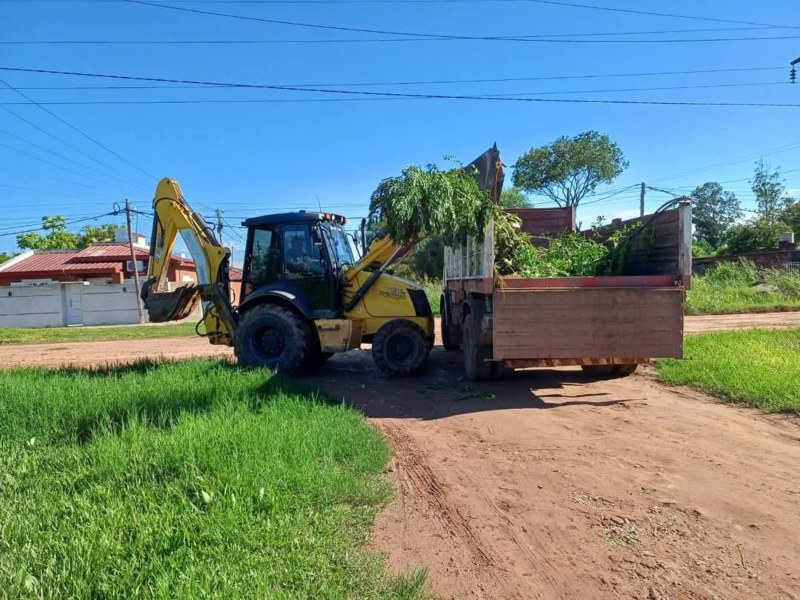 La Municipalidad de Castelli intensifica las tareas de recolección de ramas y restos de corte de pasto La Municipalidad de Castelli intensifica las tareas de recolección de ramas y restos de corte de pasto