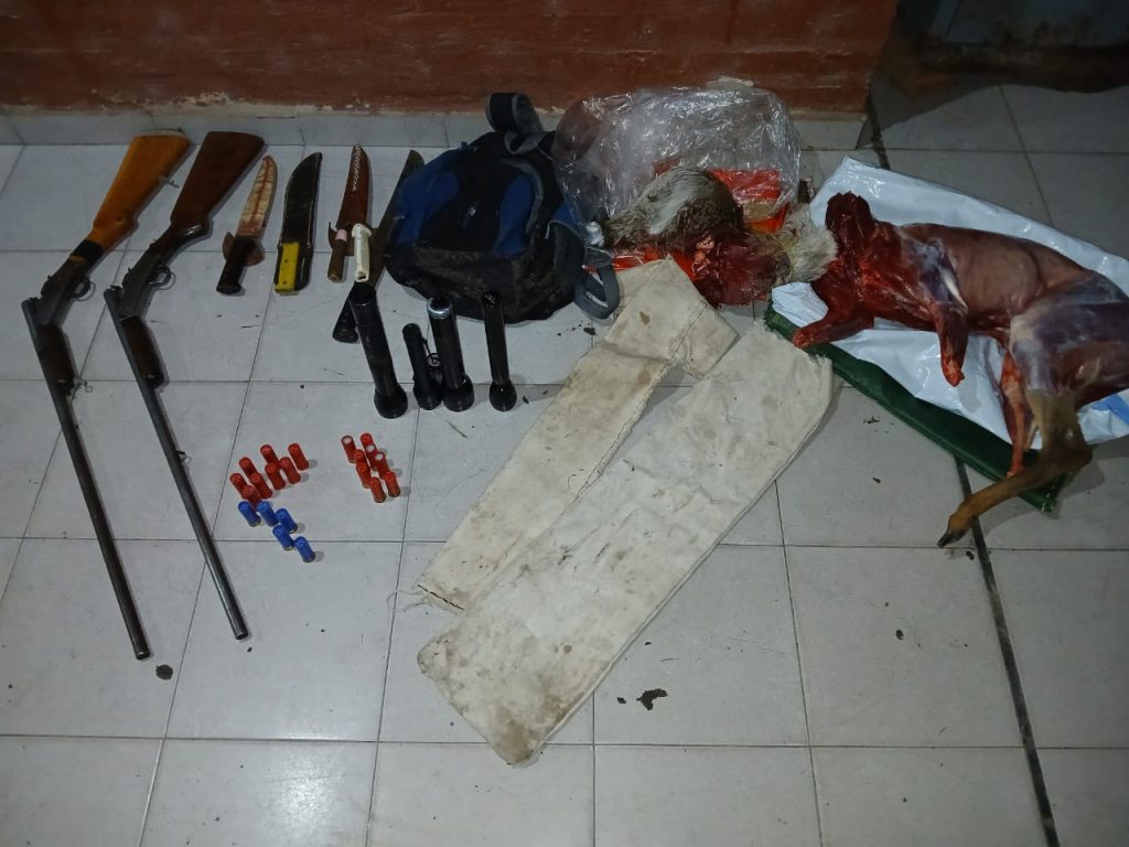 Operativo en Makallé: secuestran animales silvestres y detienen a cuatro hombres por caza ilegal Operativo en Makallé: secuestran animales silvestres y detienen a cuatro hombres por caza ilegal