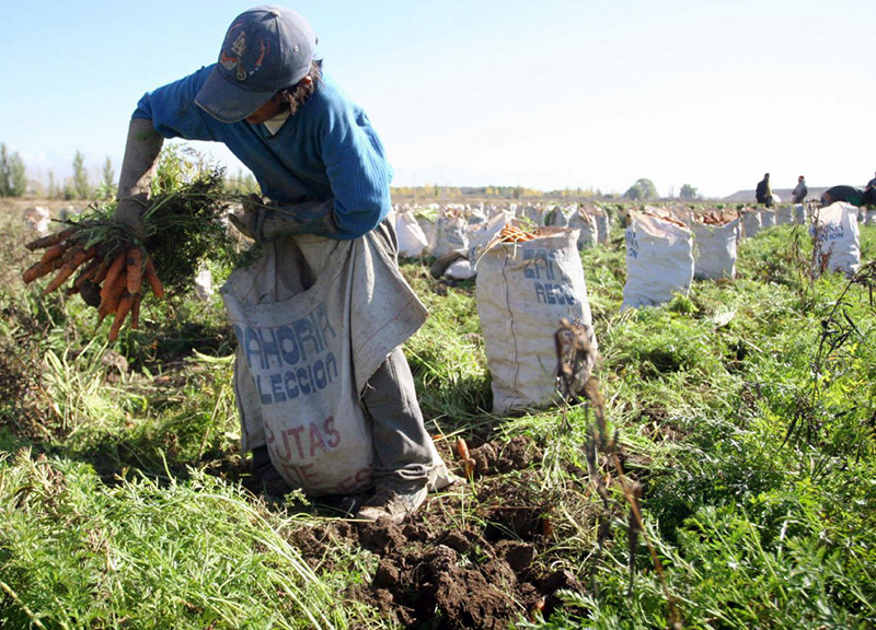 Flexibilización laboral: advierten sobre el aumento de la informalidad Flexibilización laboral: advierten sobre el aumento de la informalidad