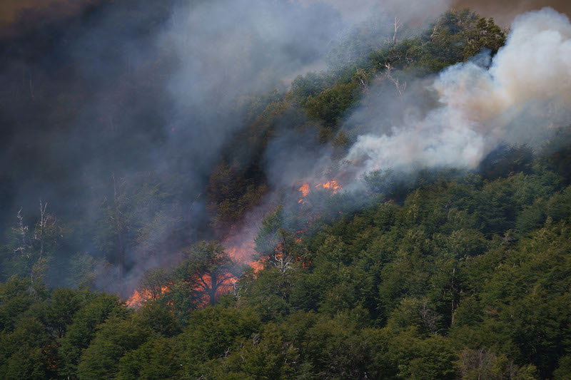 Advierten que se cuadruplicó la superficie de bosques patagónicos afectada por incendios forestales Advierten que se cuadruplicó la superficie de bosques patagónicos afectada por incendios forestales