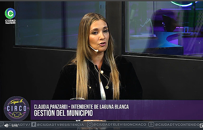 Panzardi: “Hoy, los intendentes del Chaco no podemos pisar Buenos Aires” Panzardi: “Hoy, los intendentes del Chaco no podemos pisar Buenos Aires”