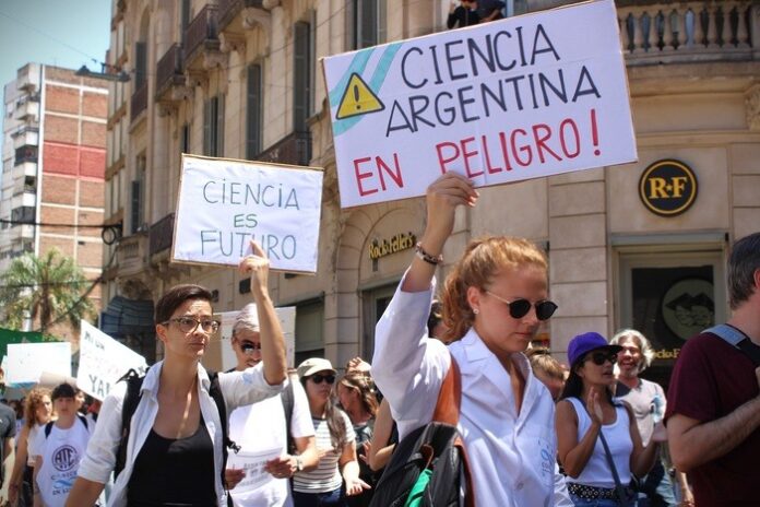 Eliminaron fondos de promoción científica: alertan que en recursos humanos se perdieron “500 investigadores” Eliminaron fondos de promoción científica: alertan que en recursos humanos se perdieron “500 investigadores”