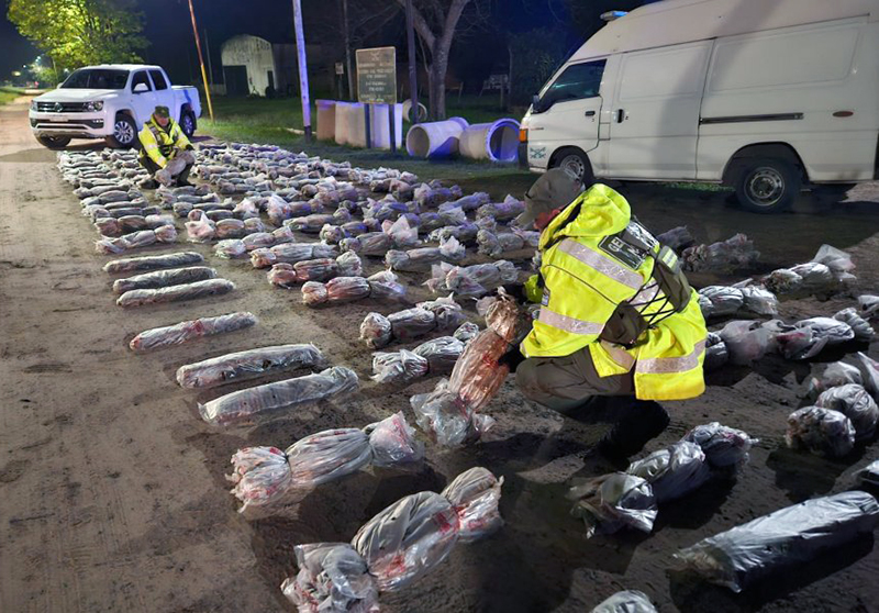 Gendarmes decomisaron más de 21 toneladas de tabaco en Corrientes Gendarmes decomisaron más de 21 toneladas de tabaco en Corrientes