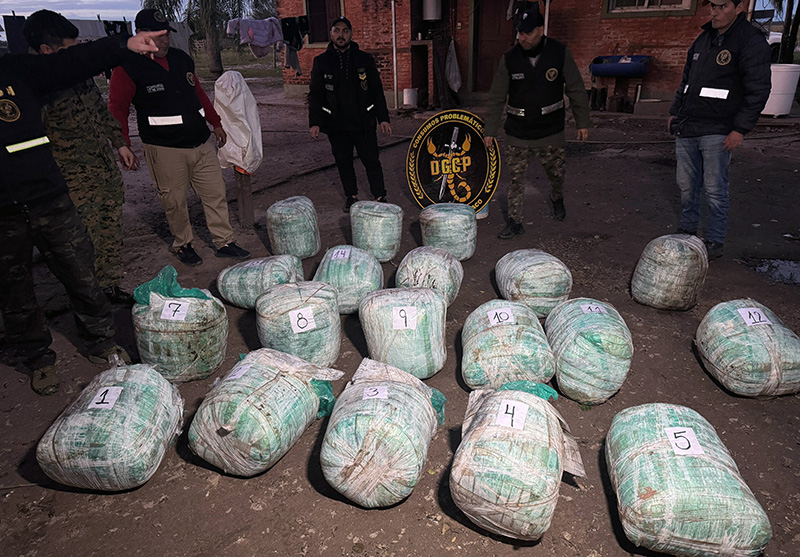 Otro duro golpe a narco bandas: más de 230 kilos de marihuana incautados en un campo en La Leonesa Otro duro golpe a narco bandas: más de 230 kilos de marihuana incautados en un campo en La Leonesa