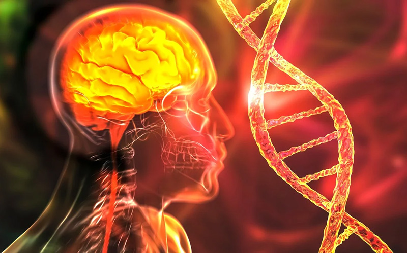 Día Mundial de la Esclerosis Lateral Amiotrófica (ELA): síntomas, deterioro y pocos tratamientos disponibles Día Mundial de la Esclerosis Lateral Amiotrófica (ELA): síntomas, deterioro y pocos tratamientos disponibles