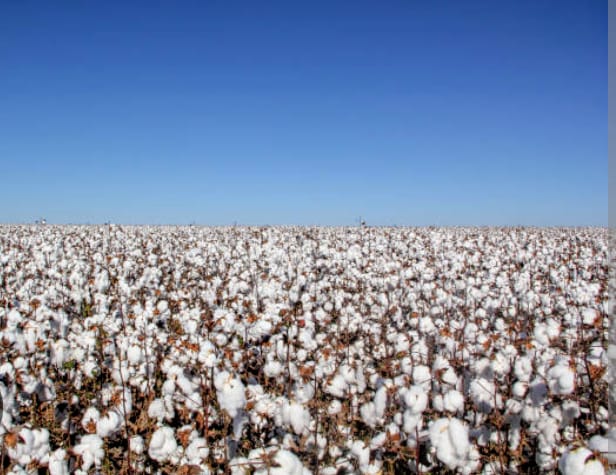 Sin el Norte, no hay Nación Sin el Norte, no hay Nación