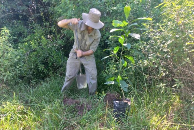 “Plantando para un ambiente sostenible”, actividad en el Día Mundial del Medio Ambiente “Plantando para un ambiente sostenible”, actividad en el Día Mundial del Medio Ambiente