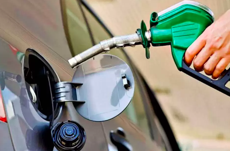 Biodiésel: la producción cayó a su nivel más bajo desde 2009 y las exportaciones se derrumbaron Biodiésel: la producción cayó a su nivel más bajo desde 2009 y las exportaciones se derrumbaron