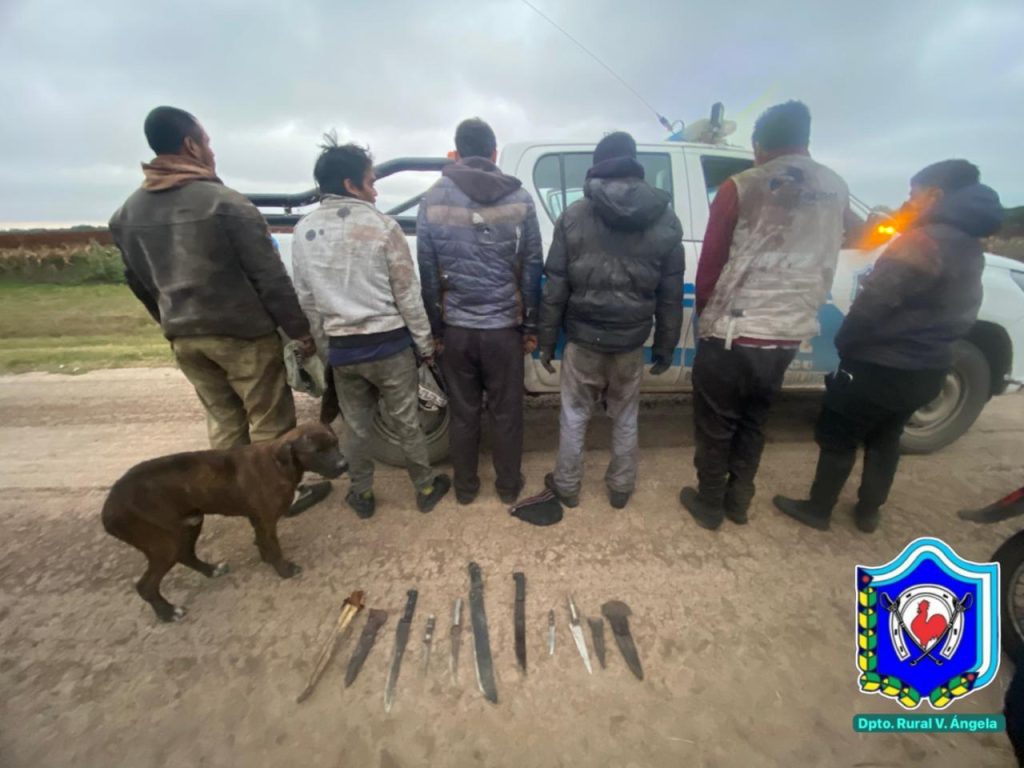 Secuestran más de 200 kilos de carne de caza ilegal y armas blancas