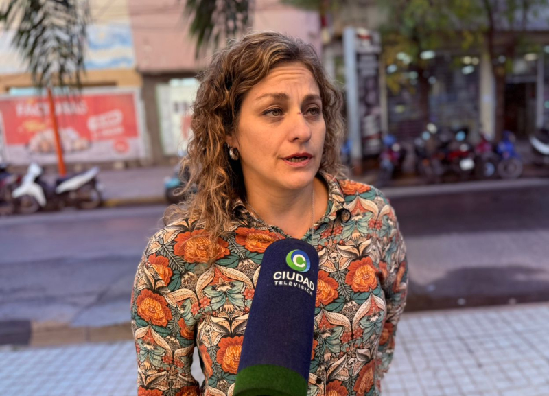 Desregulación del Instituto Nacional del Teatro: “La muralla cultural de la General Paz va a volver a existir” Desregulación del Instituto Nacional del Teatro: “La muralla cultural de la General Paz va a volver a existir”