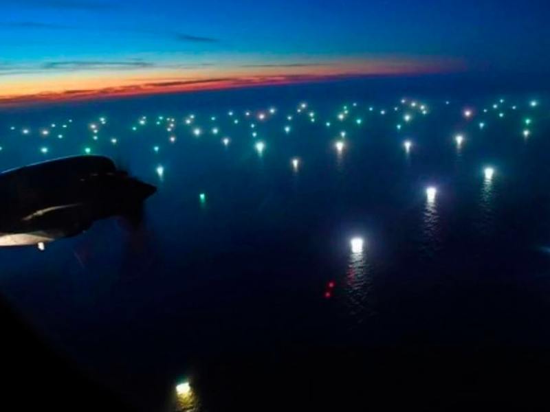De calamares y otros bichos usurpados en el Mar Argentino De calamares y otros bichos usurpados en el Mar Argentino