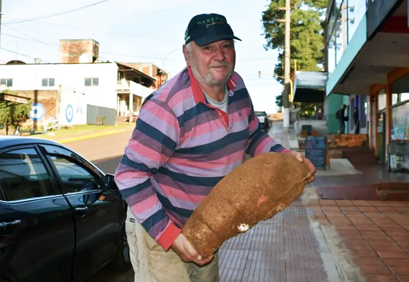 En Misiones un agricultor cosechó mandioca gigante e incentiva a jóvenes a permanecer en las chacras En Misiones un agricultor cosechó mandioca gigante e incentiva a jóvenes a permanecer en las chacras