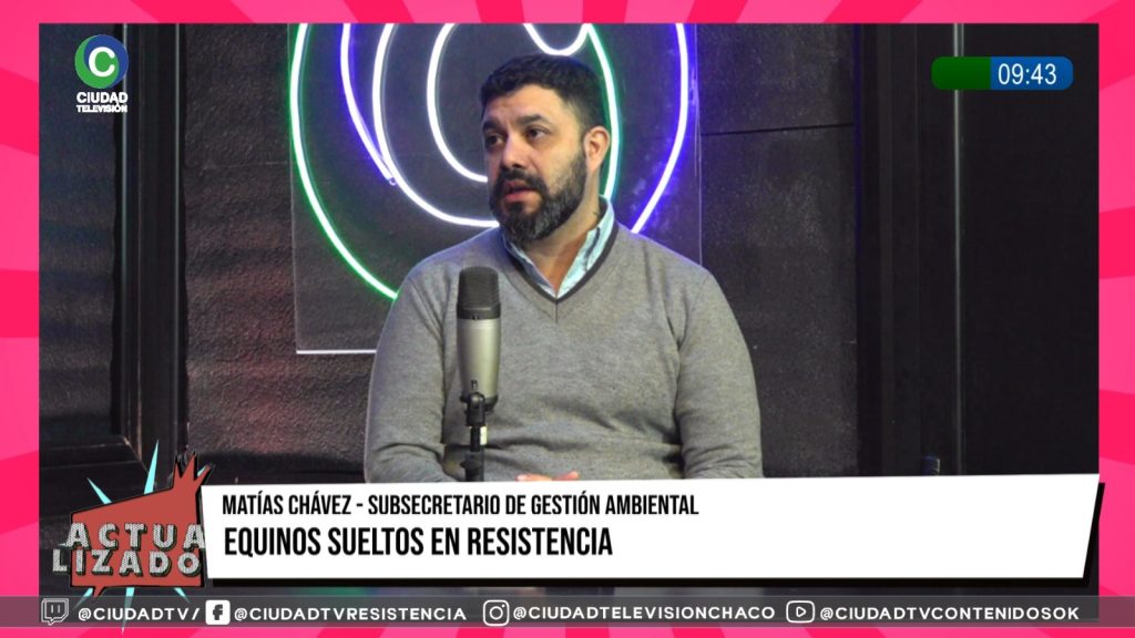 Caballos sueltos y tracción a sangre: el municipio de Resistencia refuerza controles y promueve la adopción responsable