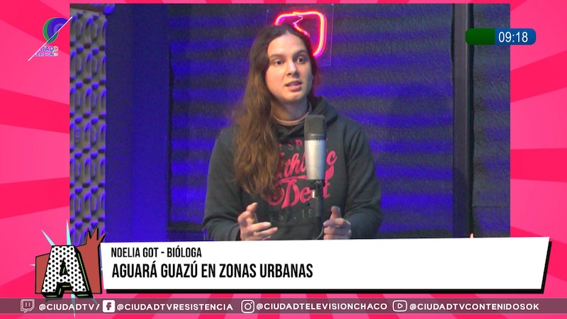 El avance urbano y el riesgo para el Aguará Guazú en el Chaco: “El principal peligro es la fragmentación de hábitat” El avance urbano y el riesgo para el Aguará Guazú en el Chaco: “El principal peligro es la fragmentación de hábitat”