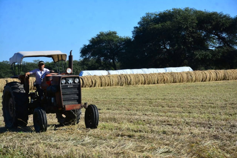 Apoyo al sector rural: el municipio confecciona rollos de pastura en Castelli Apoyo al sector rural: el municipio confecciona rollos de pastura en Castelli