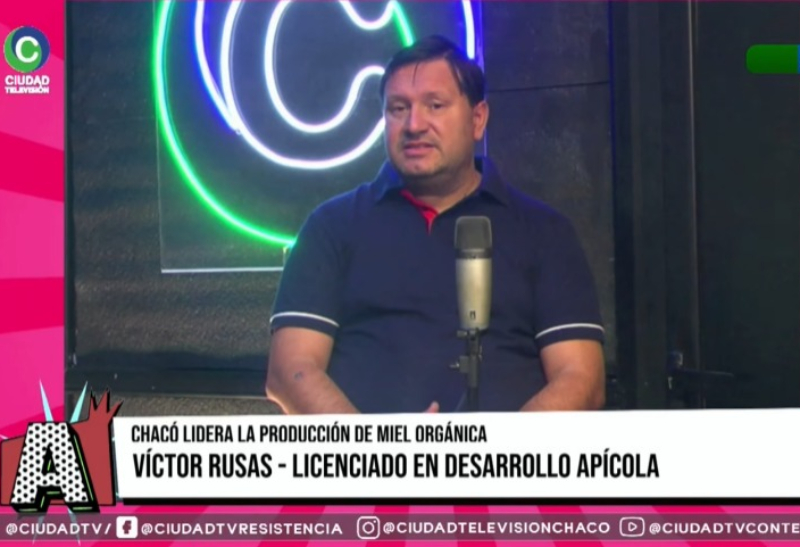 Chaco lidera la producción de miel orgánica: “No tenemos un techo para seguir desarrollando esta actividad” Chaco lidera la producción de miel orgánica: “No tenemos un techo para seguir desarrollando esta actividad”