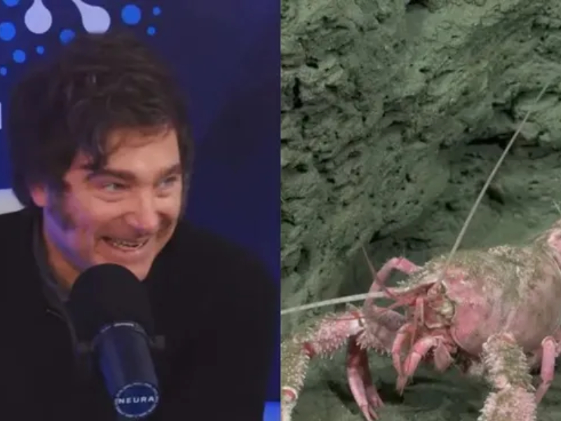 La “entrevista” de Fantino a Milei tuvo menos rating que el streaming del CONICET desde el fondo del mar La “entrevista” de Fantino a Milei tuvo menos rating que el streaming del CONICET desde el fondo del mar