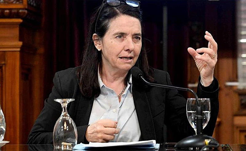 Lo dijo una senadora: “No creo que los niños argentinos tengan derecho a venir al Garrahan a ser curados” Lo dijo una senadora: “No creo que los niños argentinos tengan derecho a venir al Garrahan a ser curados”