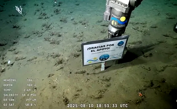 Terminó el streaming del CONICET: el conmovedor mensaje al cierre de la transmisión Terminó el streaming del CONICET: el conmovedor mensaje al cierre de la transmisión