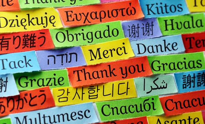 La UNCAus abrió inscripciones para cursos de idiomas alemán, francés, italiano, inglés y portugués La UNCAus abrió inscripciones para cursos de idiomas alemán, francés, italiano, inglés y portugués