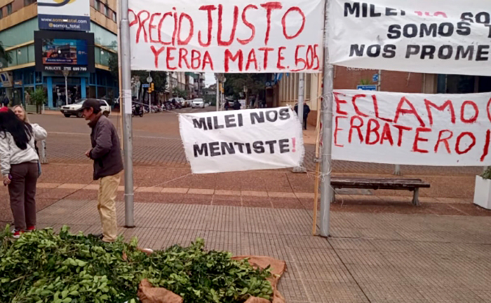 Genocidio yerbatero: reclaman al gobernador de Misiones que declare en “emergencia” al sector Genocidio yerbatero: reclaman al gobernador de Misiones que declare en “emergencia” al sector