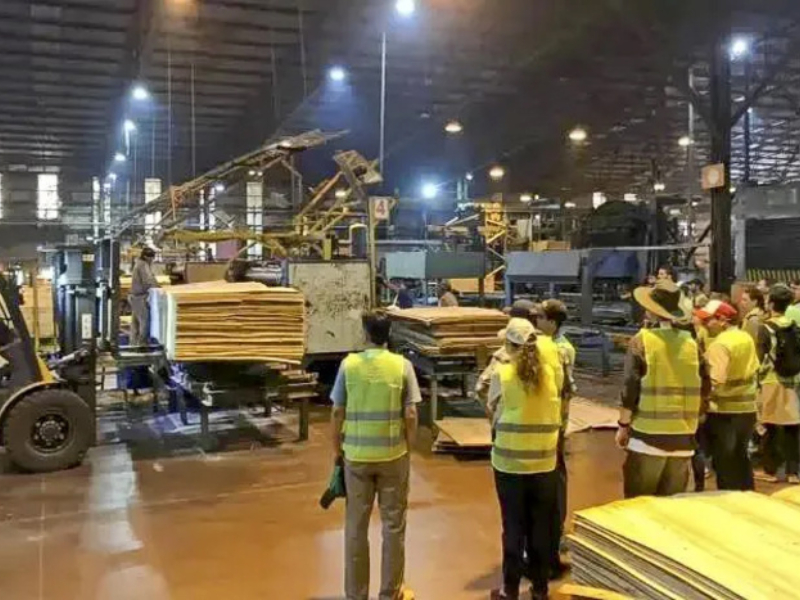 La principal maderera de Corrientes paraliza su actividad y suspende a 520 trabajadores La principal maderera de Corrientes paraliza su actividad y suspende a 520 trabajadores