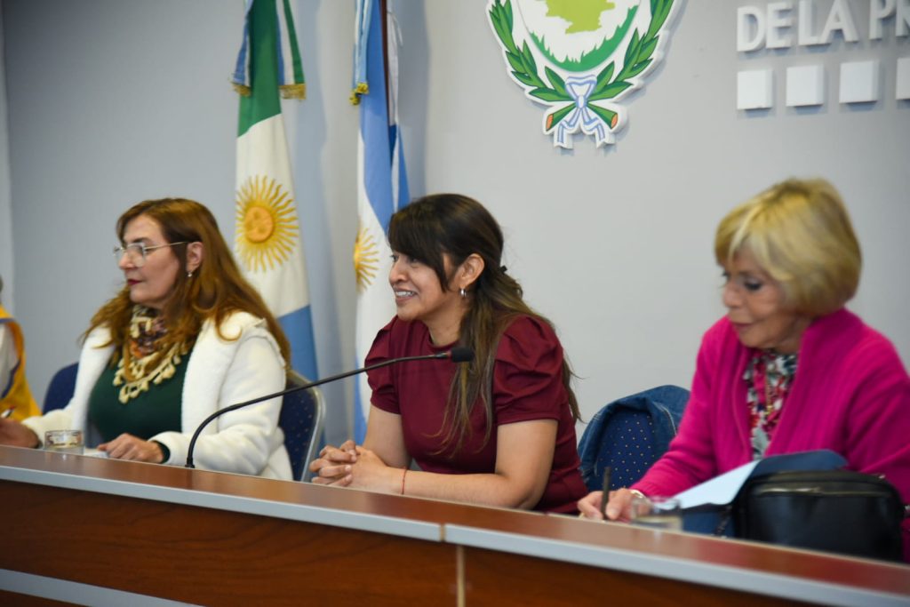 Conversatorio en el Poder Legislativo sobre el ejercicio profesional de la puericultura