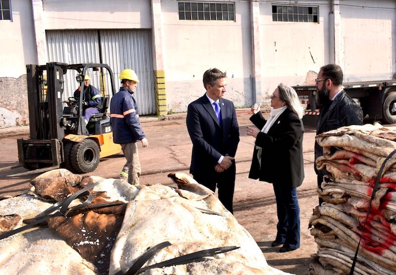 Puerto de Barranqueras: el gobernador constató la histórica exportación de 50 contenedores de cuero salado a China Puerto de Barranqueras: el gobernador constató la histórica exportación de 50 contenedores de cuero salado a China
